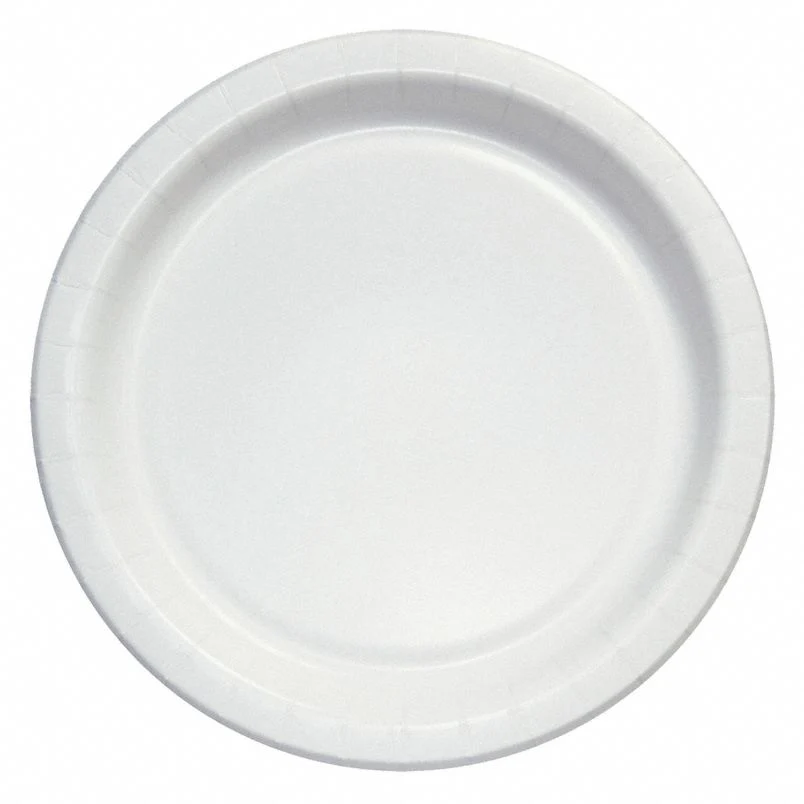 6inchpaperplate